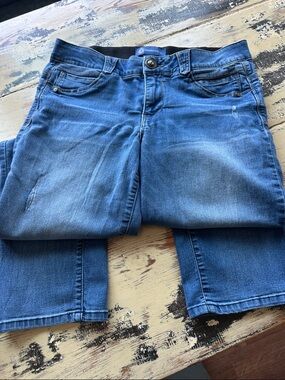 Democracy Women’s Skinny Jeans in Blue Wash